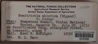 Image Associated With the Occurence
